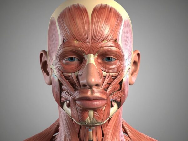 Bruksismin hoito – mitä vaihtoehtoja on?